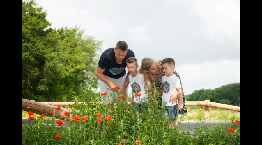 3894Groen-web.jpg