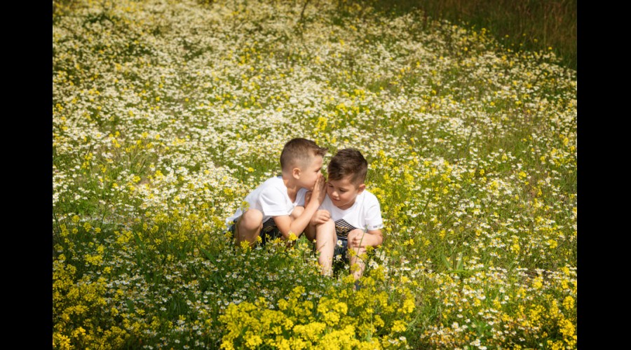 4013Groen-web.jpg