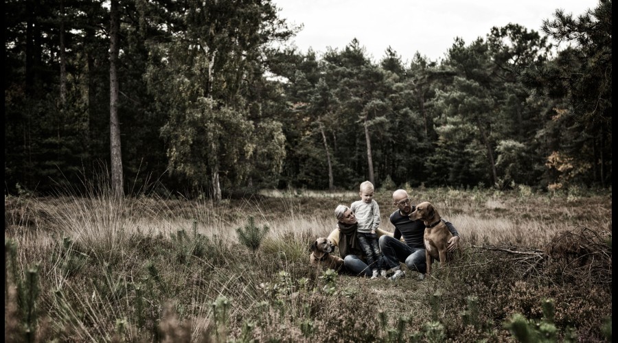 portfolio-groepen-koolen-photography-17.jpg